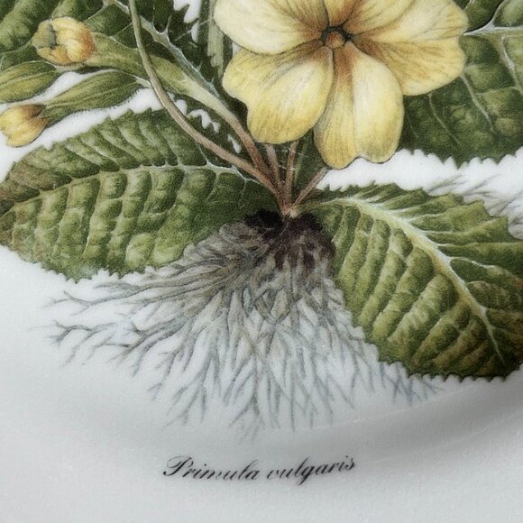 Royal Vale Primula Vulgaris Collector Plate Botanical Pattern Made in England - Picture 4 of 10